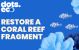Restore a coral reef fragment
