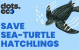 Save a sea-turtle hatchling